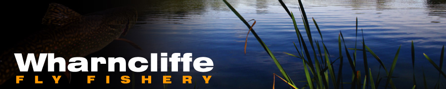 Wharncliffe Fly Fishing